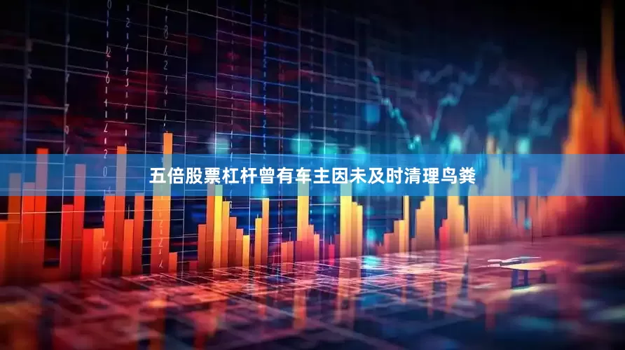 五倍股票杠杆曾有车主因未及时清理鸟粪