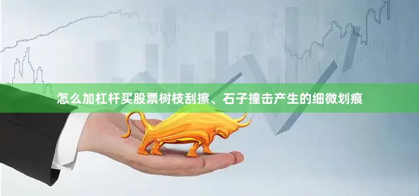 怎么加杠杆买股票树枝刮擦、石子撞击产生的细微划痕