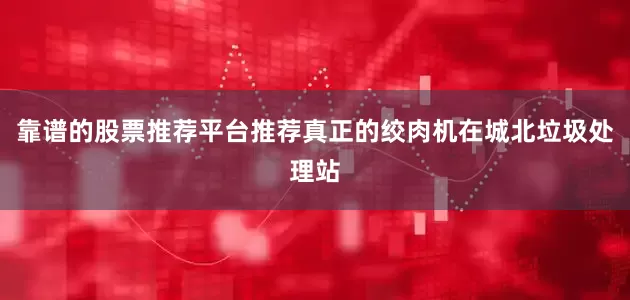 靠谱的股票推荐平台推荐真正的绞肉机在城北垃圾处理站