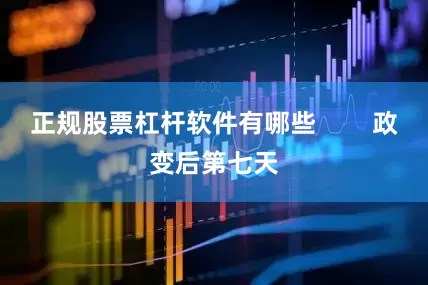 正规股票杠杆软件有哪些        政变后第七天